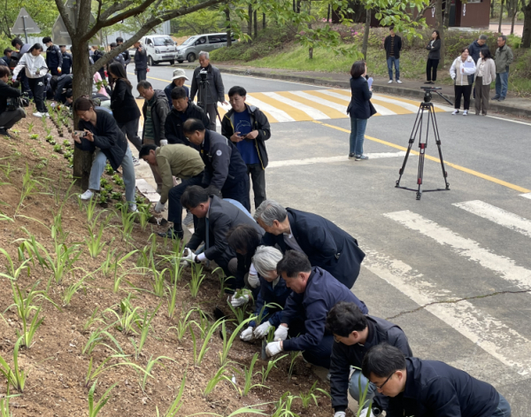 26일, 충남 청양군 칠갑산도립공원에서 멸종위기종 식재 행사