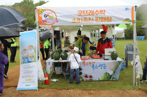 부여 부소산 봄 나들이 축제 현장 모습