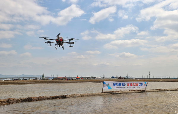 직파재배 연시회 개최 모습
