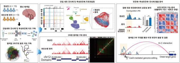 단일세포 후성유전체 지도 분석을 통한 파킨슨병 연관 분자기전 규명