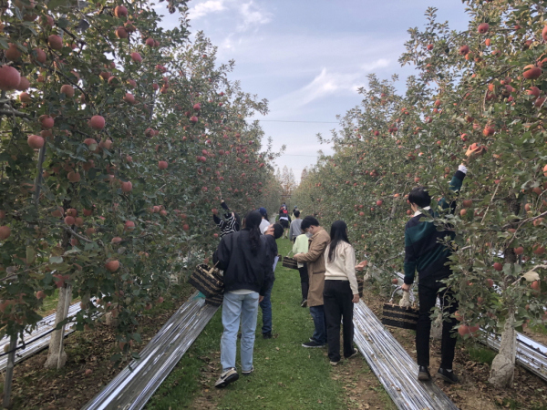 예가정성 체험프로그램 시범 운영
