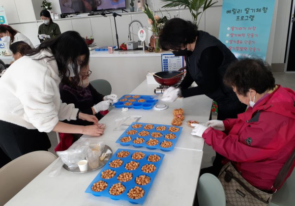 논산시 치유농업 프로그램 모습