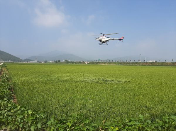 항공 공동방제 모습