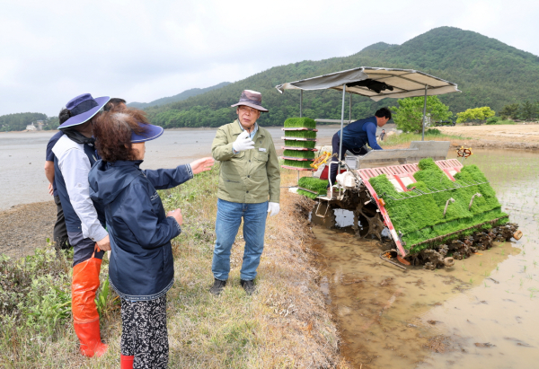 가세로 군수 모내기 현장 방문(원북면 마산리)