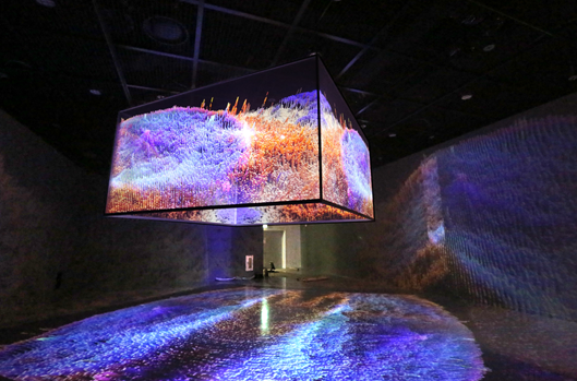 디지털 아뜰리에 강이연(YIYUN KANG)