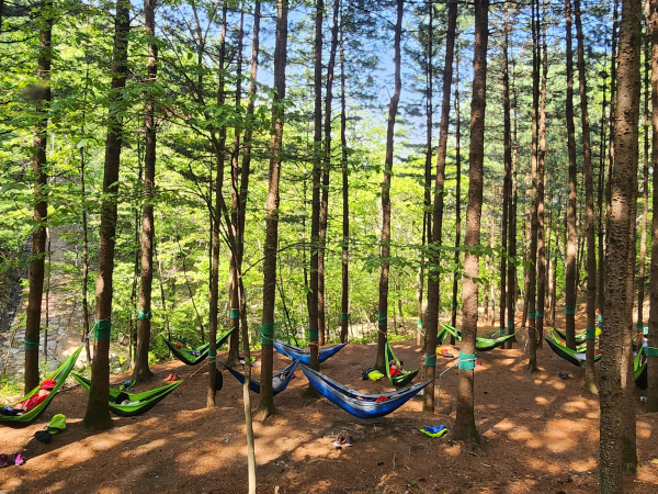지난 20일 경북 영주시 봉현면 국립산림치유원 잣나무숲에서 참가자들이 해먹 숲치유를 체험하고 있다