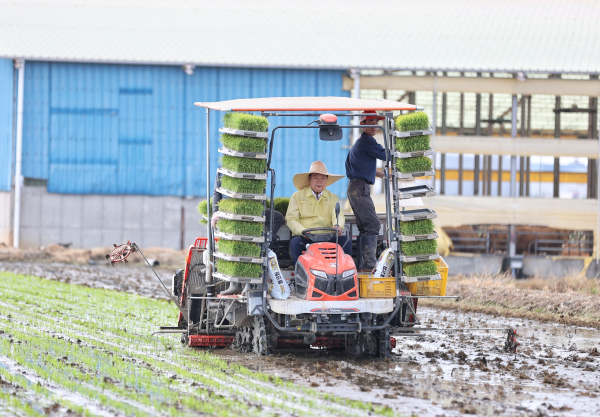 오성환 시장 ‘당찬진미’ 모내기 시연