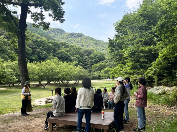 26일 대전 유성구 소재 국립대전숲체원에서 중앙의료원 난임·우울증상담센터 직원이 심신 안정에 도움을 주는 산림치유프로그램에 참여하고 있다.