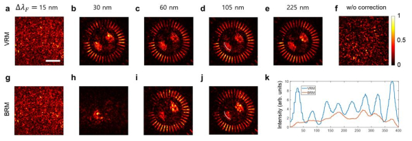 입체 반사행렬 현미경으로 찍은 이미지