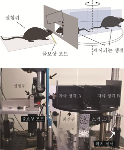 개체 인지 행동 실험 장치