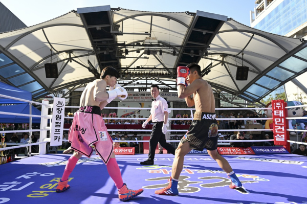 3일 대흥동 우리들공원에서 제14회 대전효문화뿌리축제의 성공 기원 사전 행사로 열린 「WBF 아시아 퍼시픽 페더급 1차 방어전」 복싱 경기 모습