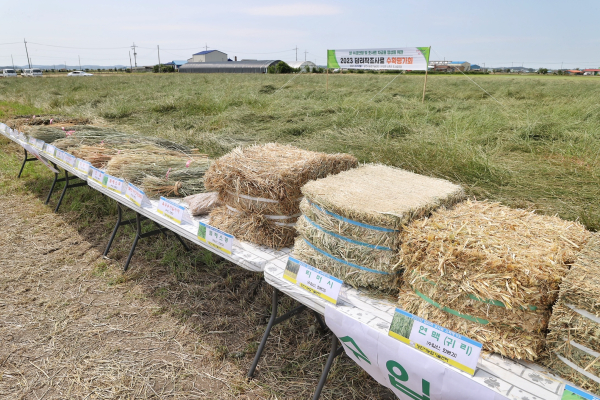 2023 답리작조사료 수확평가회 개최 모습