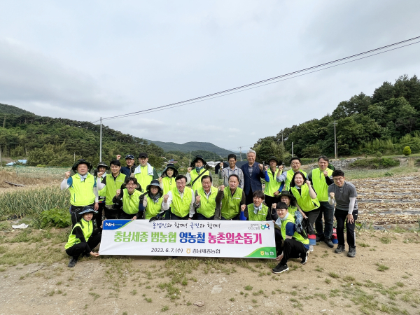 충남세종농협은 본격적인 양파 수확철을 맞아 서산시 팔봉면 양파농가를 찾아 일손돕기 봉사활동 후 단체사진