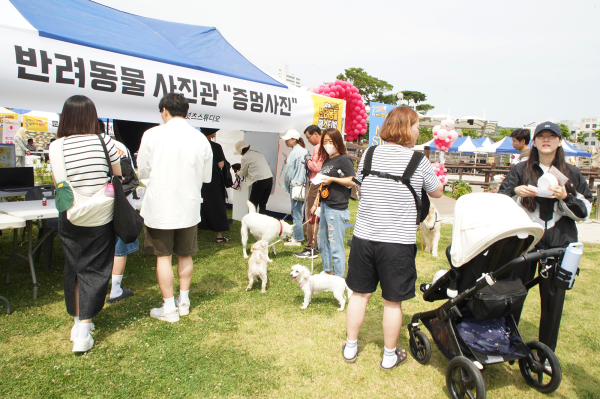 지난 10일 동문근린공원에서 열린 2023년 서산 반려동물 페스티벌 모습