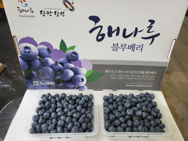 블루베리 홍보 및 판매 행사 개최