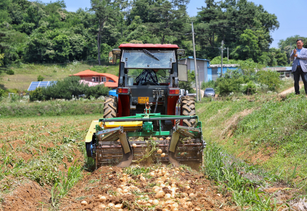 친환경감자 시범사업 평가회 진행 모습