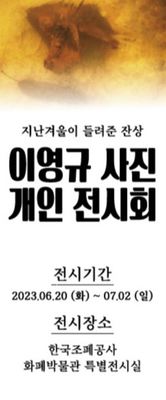 이영규전 포스터