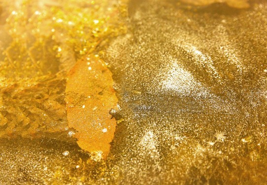 지난 겨울이 들려준 잔상