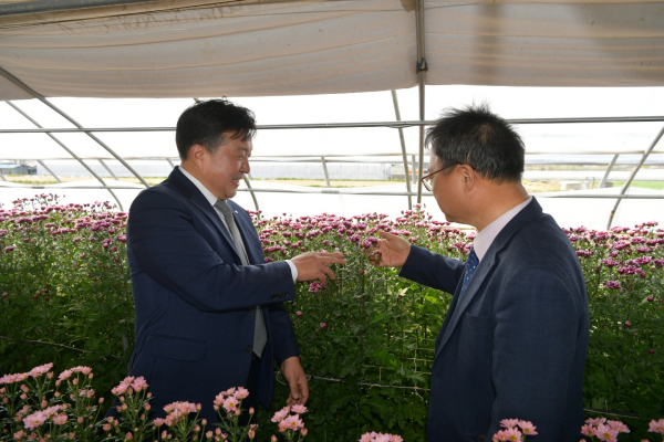 최재구 예산군수가 관내에서 생산되는 국화를 살펴보는 모습