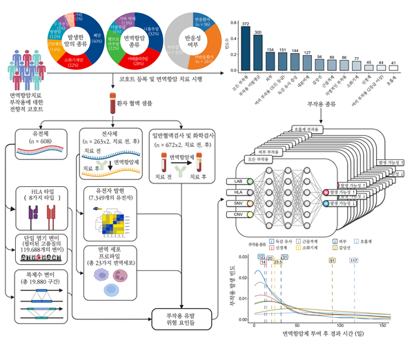 면역 관련 부작용 연구에 대한 전반적 개요도