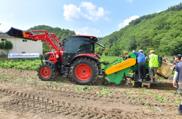 감자 수집형 수확기 연시회 개최 모습