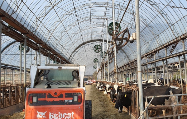 우사 내 에어 제트팬 설치 모습