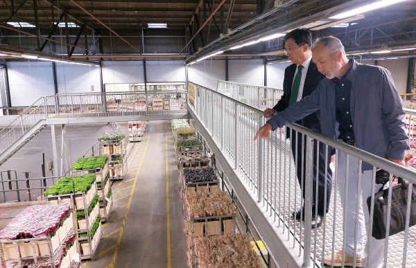 알스미어(Aalsmeer) 화훼경매장 방문 현장 사진 * 김춘진 한국농수산식품유통공사 사장(좌측)