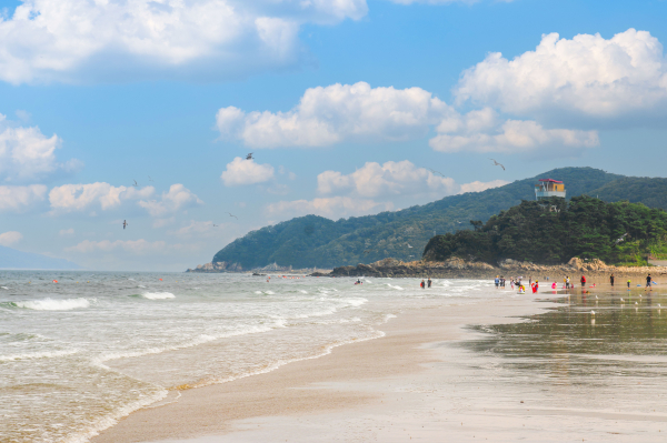 대난지섬 해수욕장 전경
