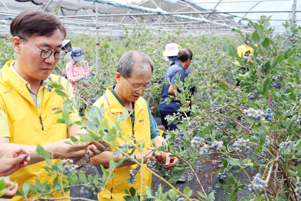 김한영 이사장과 KR봉사단이 1사 1촌 자매결연을 맺고 일손돕기 봉사활동 모습