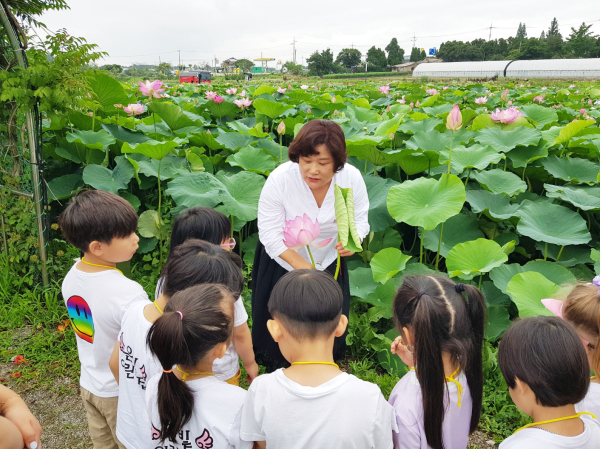 합덕제 연꽃 생태교육 모습