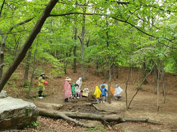 루시모자원 가족 대상 ‘토닥林’ 산림복지서비스 제공 모습