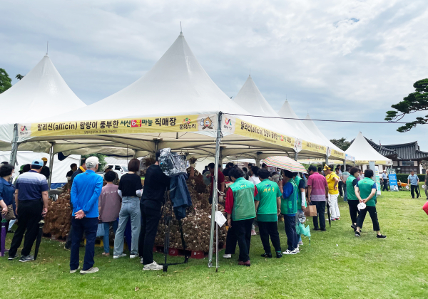 지난 7일부터 9일까지 해미읍성에서 열린 제14회 서산6쪽마늘축제 모습