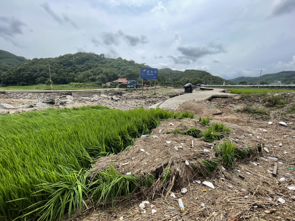 장마철 집중호우에 따른 농경지와 농작물 피해 예방 사전 조치 당부