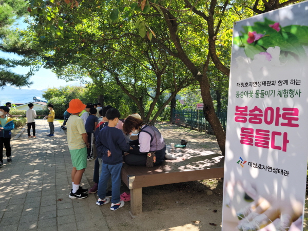 지난해 진행된 봉숭아 물들이기 행사 모습