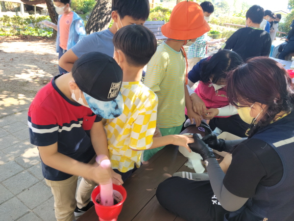 지난해 진행된 봉숭아 물들이기 행사 모습