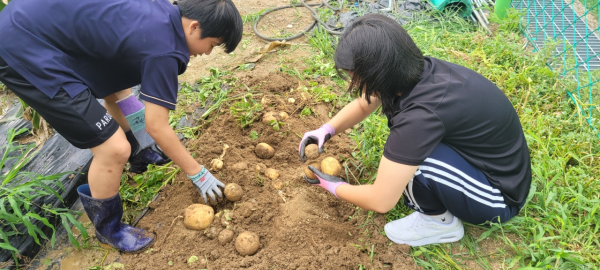 14일 대전교육연수원 부설 꿈나래교육원에서 `텃밭 수확물 나눔` 행사 모습