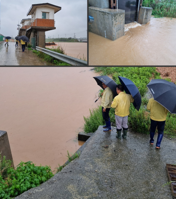 김기웅 서천군수 현장 점검 모습