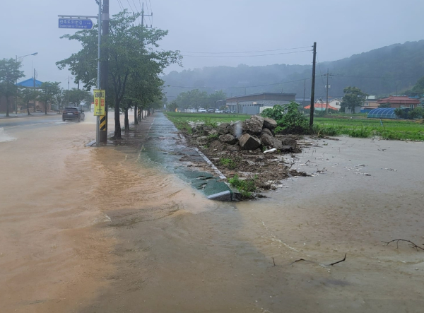 논산 관촉사 앞 도로 모습