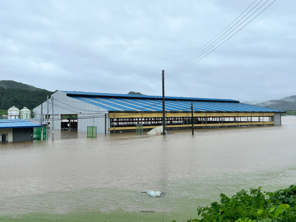 청양지역 집중호우 피해 현장 모습