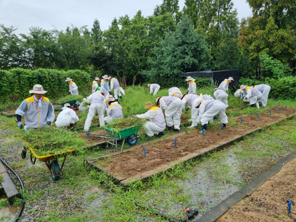 허브농장 제초 작업 모습