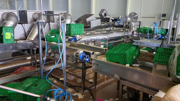 부여군 기업 수해 현장(장암 비이에프부여)