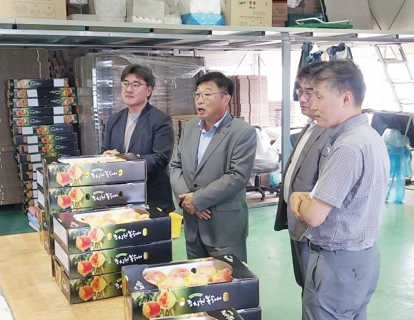 이승원 부시장, 복숭아 낙과 농가 방문 모습