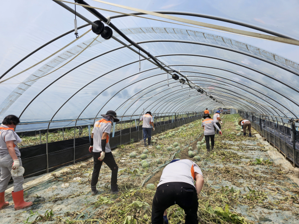 집중호우 피해지역 복구 활동 진행 모습