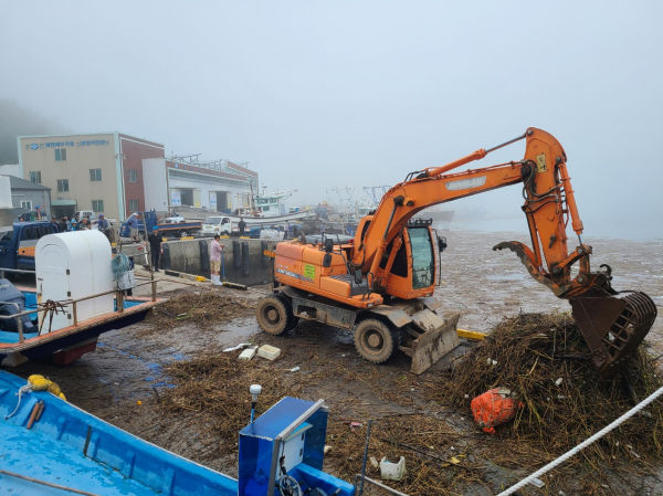 마량진항 해양쓰레기 정화 활동 모습