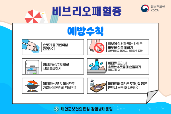 비브리오패혈증 예방 및 관리 홍보물.