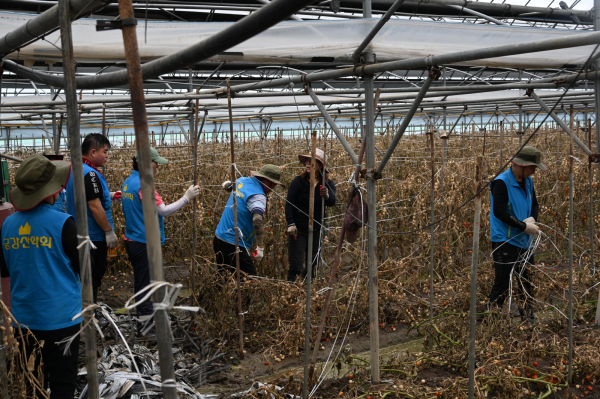금강산악회 수해복구 자원봉사 참여 모습