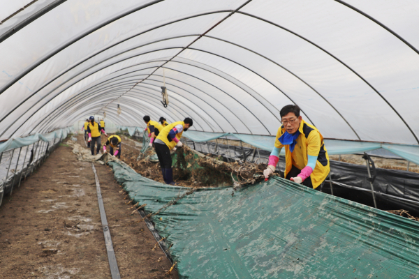 부여교육지원청, 수해복구 봉사활동 진행 모습