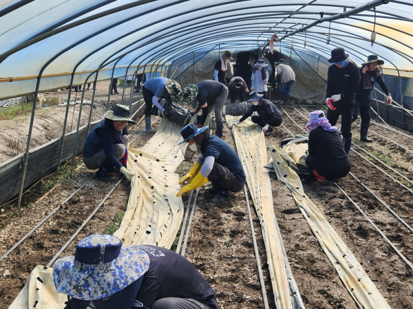 전북 익산에 위치한 수해 피해 농가를 찾아 수해 복구 지원 활동에 힘을 보태고 있다.