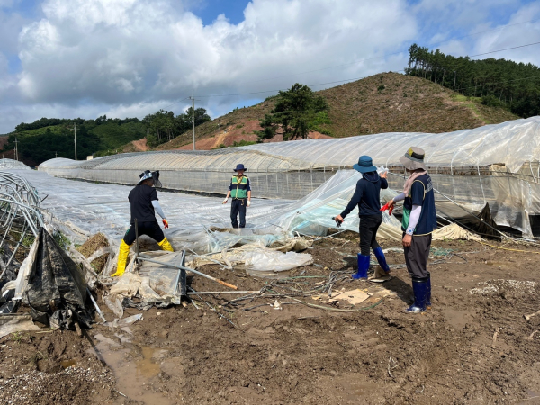 시설하우스 피해 관련 사진