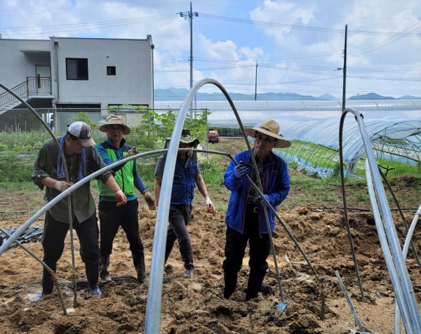 전북 완주지역 집중호우 피해농가 일손돕기 현장1 * 한국농수산식품유통공사 김춘진 사장(우측 1번째)